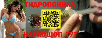 гашик Абакан